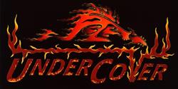 Band Under Cover unplugged